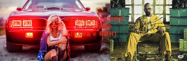 сатива Магас